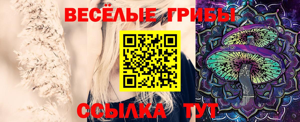 Галлюциногенные грибы прущие грибы  Галлюциногенные грибы мицелий  Вход с VPN  даркнет сайт  Заводоуковск 