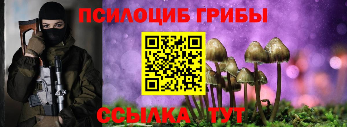 Галлюциногенные грибы прущие грибы Заводоуковск