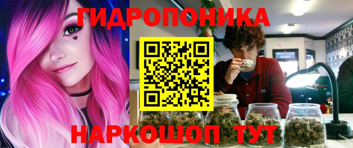 Бошки марихуана план  Вход с VPN  Бошки марихуана ГИДРОПОН  Заводоуковск  Бошки марихуана планчик 